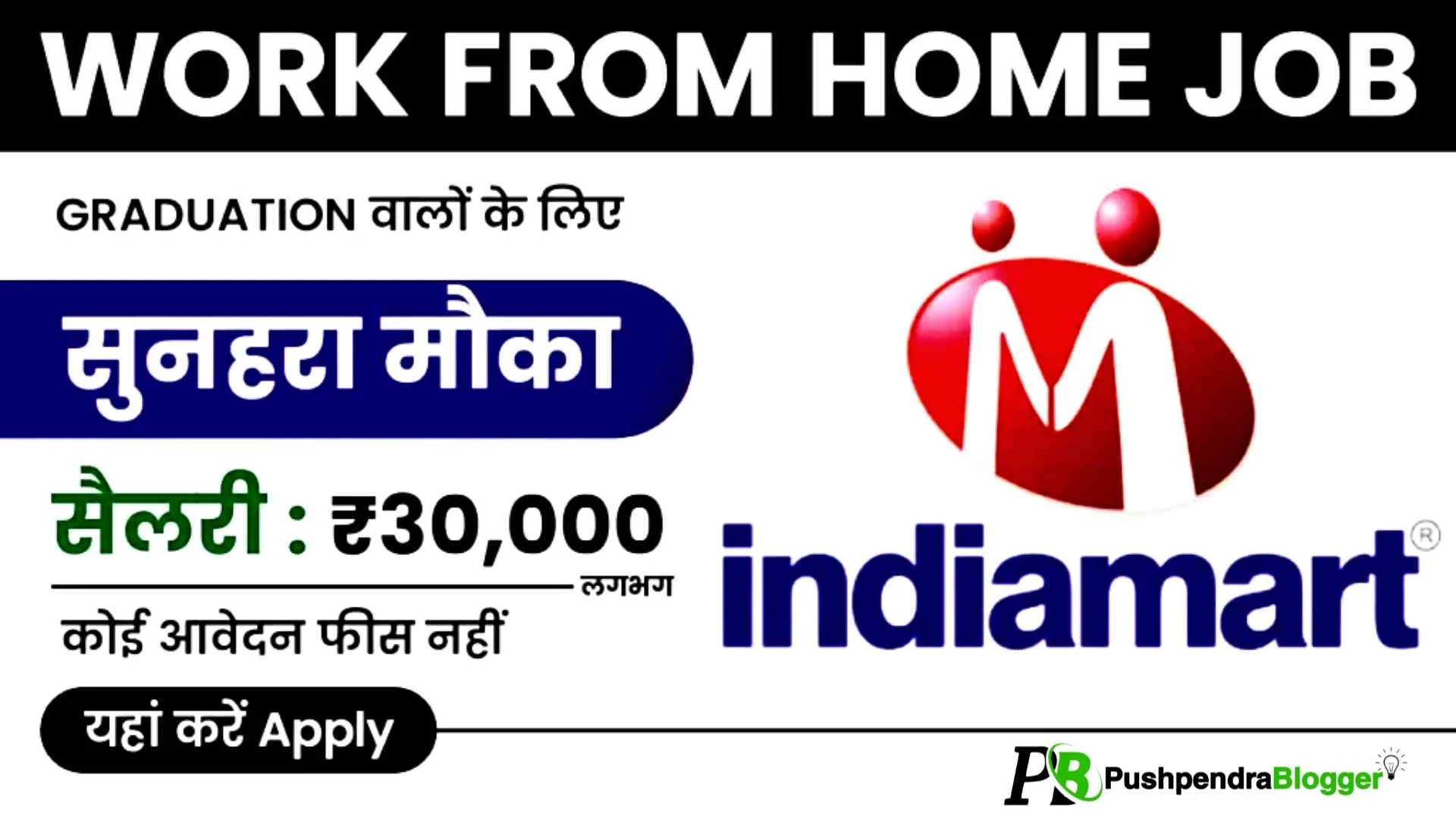 Indiamart Work From Home Job