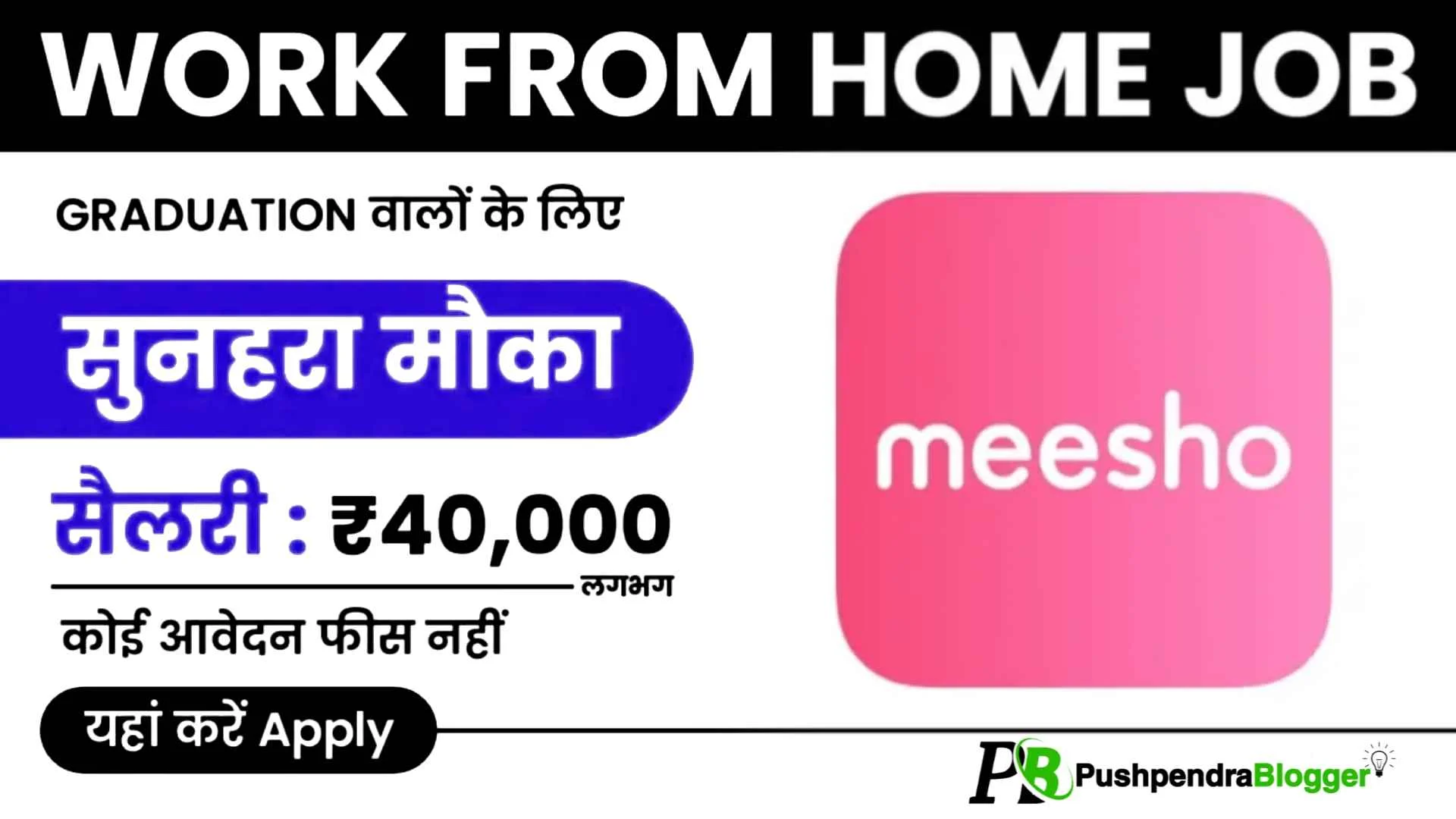 Meesho Work From Home Job 2024